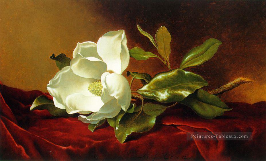 Un Magnolia sur un velours rouge ATC romantique fleur Martin Johnson Heade Peintures à l'huile
